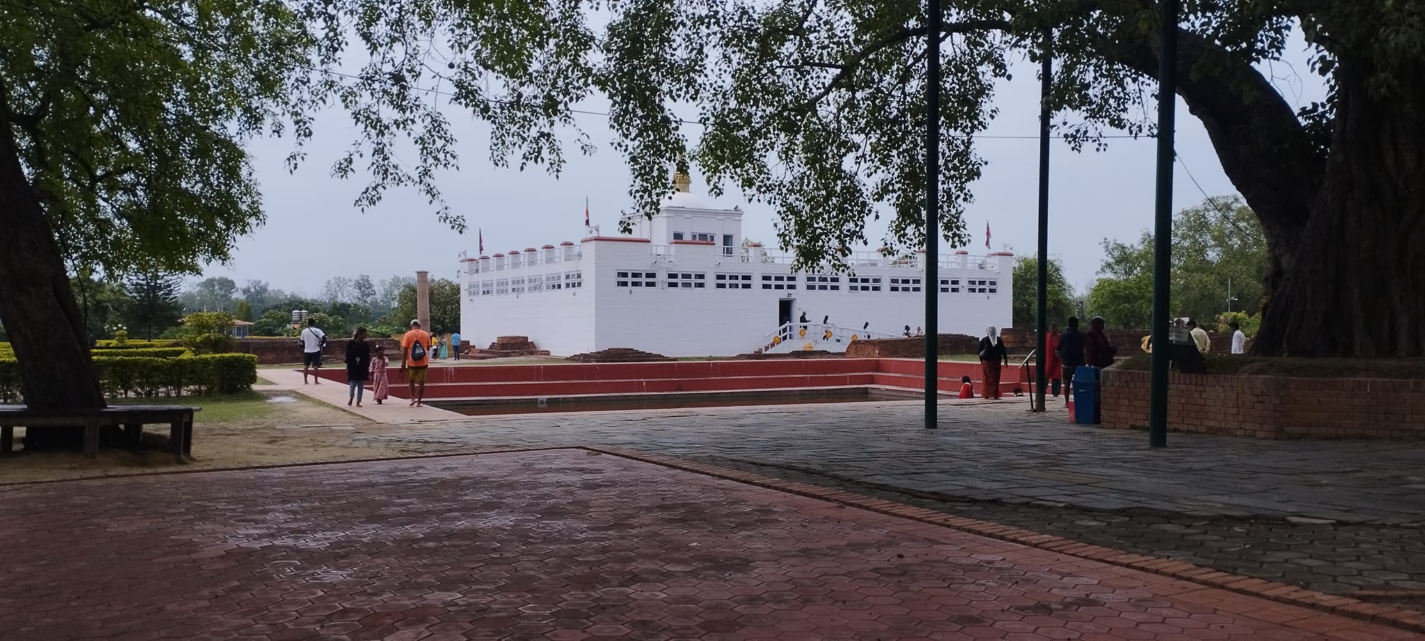 तस्बिर रासस।